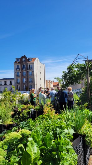 Root Cause � Montreuil 