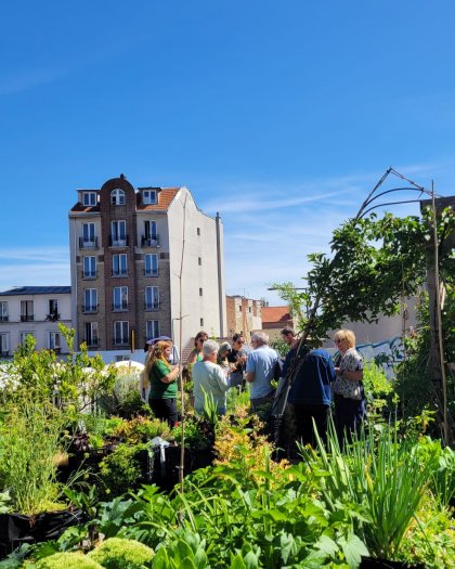 Association Root Cause � Montreuil 