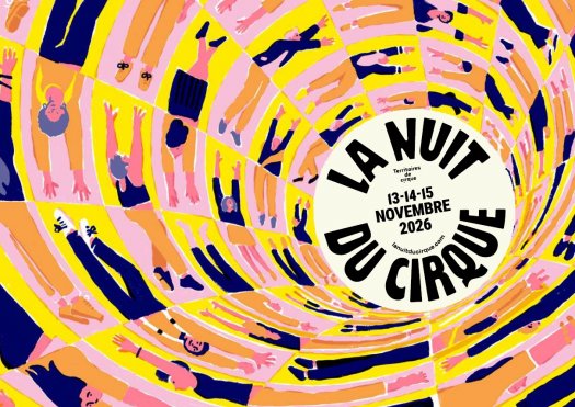 Nuit du Cirque