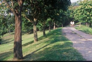 Parc dpartemental Jean Moulin les Guilands