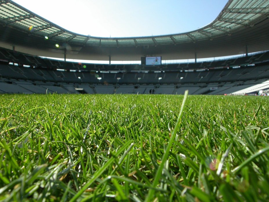 La pelouse du stade de France