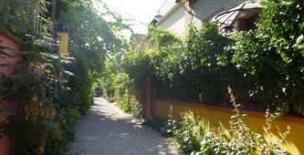 Ruelle aux Lilas