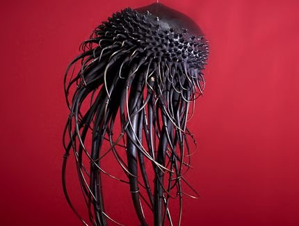 Mduses (dernires), de Mylinh Nguyen, noeuvre laurat du Prix Liliane Bettencourt