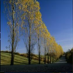 Parc du Sausset