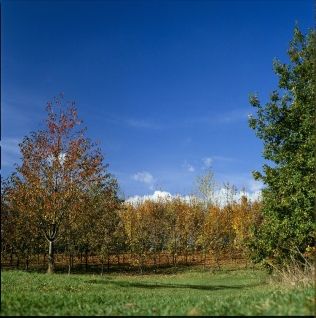 Parc dpartemental du Sausset