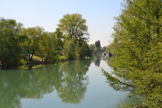 vue sur la Marne - du chemin prs du port de plaisance  NeuillysurMarne