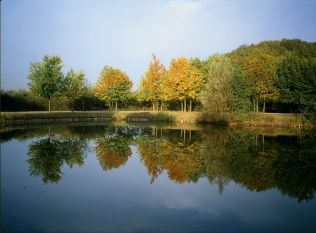 Le Parc dpartemental de la Courneuve