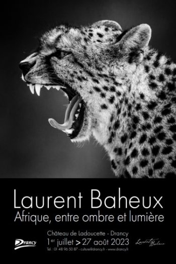 Exposition Laurent Baheux au Chteau de Ladoucette